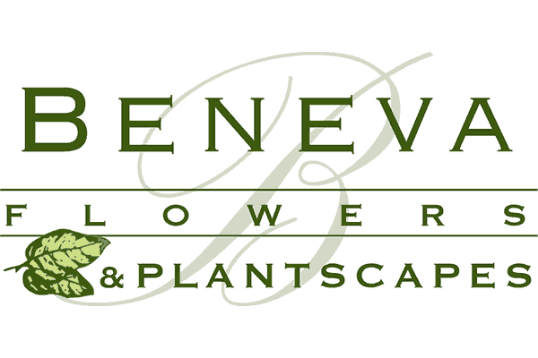 Beneva Flowers and Plantscapes Logo Vector PNG