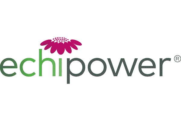 Echipower Logo Vector PNG