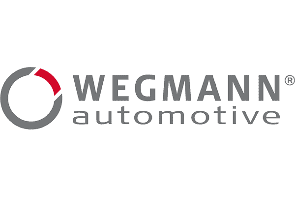 WEGMANN automotive GmbH Logo Vector PNG