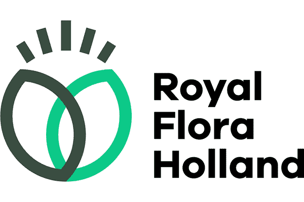 Royal FloraHolland Logo Vector PNG
