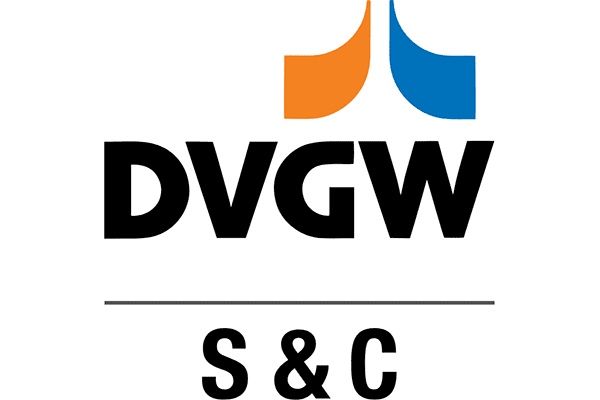 DVGW Service & Consult GmbH Logo Vector PNG